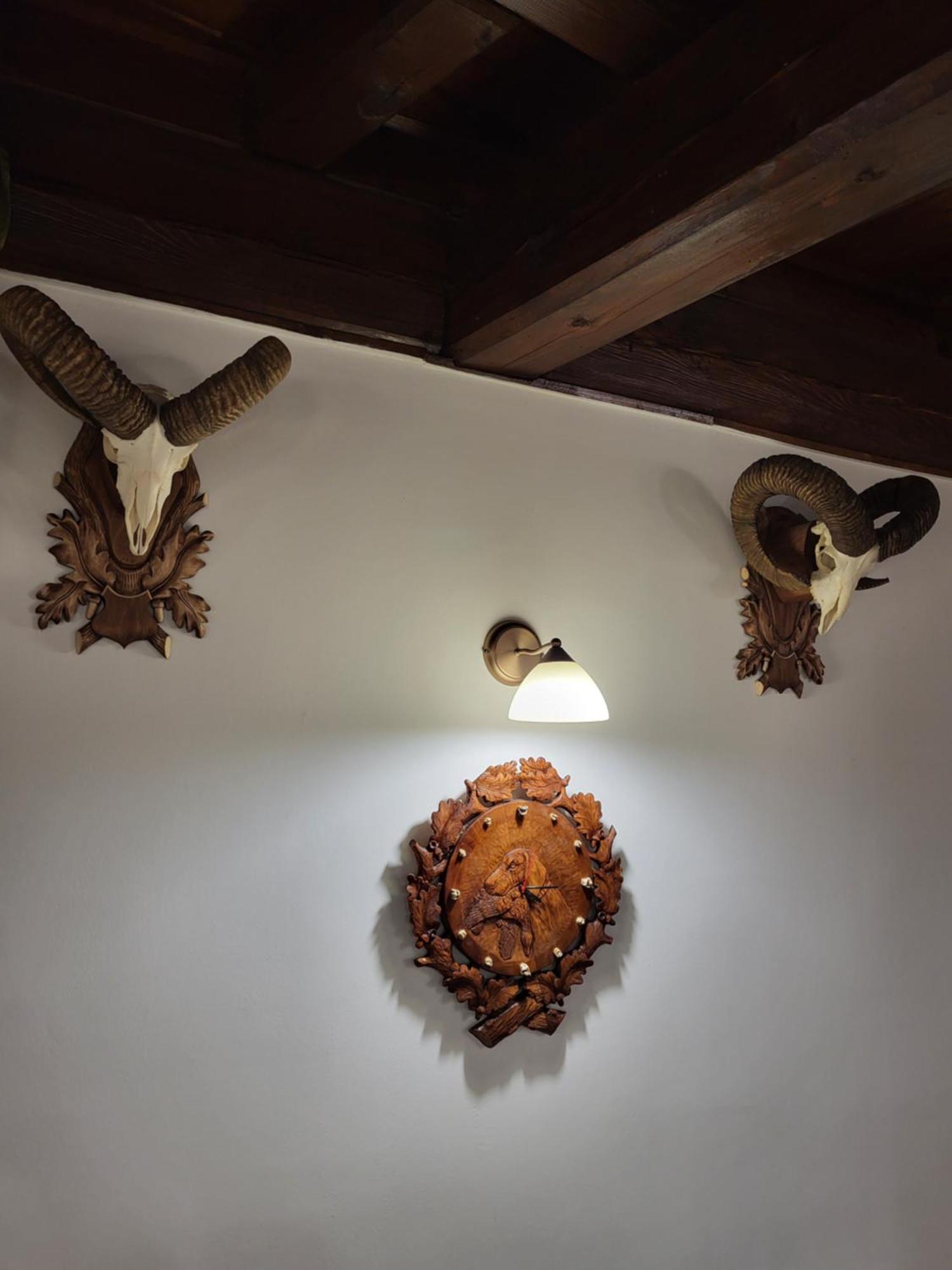 Senyoi Vendeghaz Bed & Breakfast Bozsva Dış mekan fotoğraf